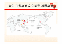 [국제경영] 농심 신라면 중국시장 진출-3