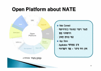 [전자상거래] 인터넷 포털 사이트와 UCC -Nate 네이트-15