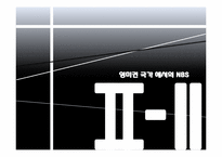 [국제경영] 영미권 국가에서의 NBS 전략-11