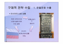 [국가브랜드] 러시아에서의 한국의 브랜드 가치 제고 전략-16