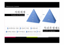 [조직이론] 현대자동차 조직분석-19