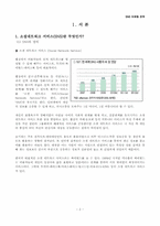 소셜네트워크 서비스(SNS)마케팅 전략 분석-2