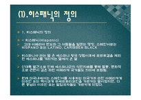 미국 내 히스패닉 사회-4