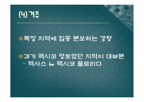미국 내 히스패닉 사회-7