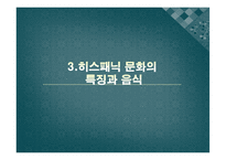 미국 내 히스패닉 사회-12