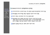아프리카 시장의 전망 및 시사점-8