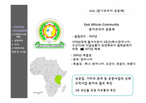 아프리카 시장의 전망 및 시사점-12