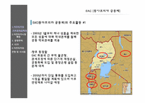아프리카 시장의 전망 및 시사점-13