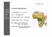 아프리카 시장의 전망 및 시사점-17