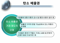 [환경철학] 교토의정서와 탄소배출권-14