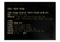 프랑스와 와인 레포트-7
