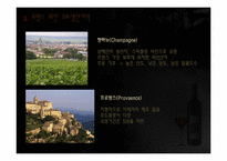 프랑스와 와인 레포트-15