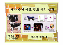황우석과 대중과학-5