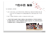 터부-터부파괴의 공존과 공동체-7