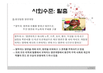 터부-터부파괴의 공존과 공동체-8