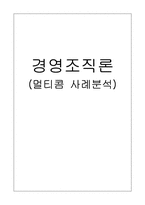 [경영조직론] 멀티콤 사례분석-1