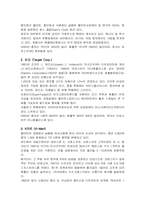 [경영학] 월마트의 내외부 환경 분석 및 국제화전략-7