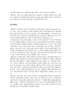 [경영학] 월마트의 내외부 환경 분석 및 국제화전략-13