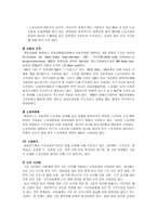 [노동경제학] 네덜란드 고용과 노사관계의 현황과 정책-9