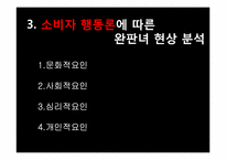[소비자 행동론] 완판녀 현상 분석-6