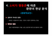 [소비자 행동론] 완판녀 현상 분석-7
