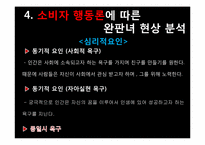 [소비자 행동론] 완판녀 현상 분석-9
