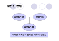 [관광학개론] 관광과 문화-3