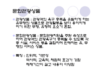 [관광학개론] 관광과 문화-5