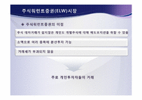 [금융학] 파생결합증권시장(DLS)-7