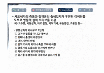 [관광학] 정약용을 통한 수원화성 문화상품기획방안-7