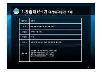[경제학] 유진투자증권 재무분석 및 투자확대 방안-4