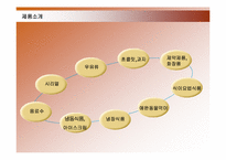 [경영학] 네슬레 국제경영 사례-16