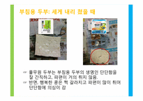 [광고학] 풀무원 생식용 두부 광고 크리에이티브 전략-10