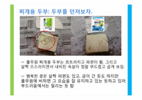 [광고학] 풀무원 생식용 두부 광고 크리에이티브 전략-15