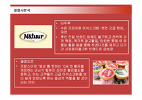 [마케팅] 하겐다즈의 마케팅 전략-12
