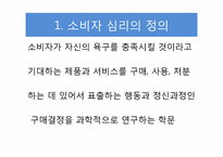 [소비자 심리학] 소비자의 소비유형과 심리효과-3
