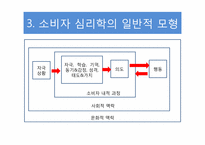 [소비자 심리학] 소비자의 소비유형과 심리효과-6