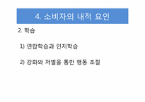 [소비자 심리학] 소비자의 소비유형과 심리효과-8