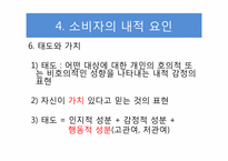 [소비자 심리학] 소비자의 소비유형과 심리효과-12