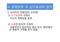 [소비자 심리학] 소비자의 소비유형과 심리효과-20