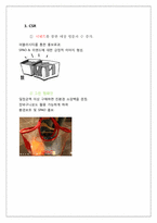 [광고마케팅] 스파오 마케팅 커뮤니케이션 제안서-12