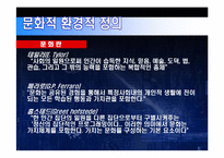 [국제무역] 문화적 차이로 인한 해외기업 성공 및 실패 사례-3