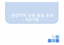[경영학] 금강지역 강변 공원 조성 경영계획안-1