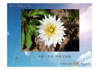 경기도 `무한돌봄사업` 프로모션 전략-5