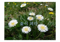경기도 `무한돌봄사업` 프로모션 전략-13
