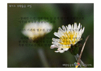 경기도 `무한돌봄사업` 프로모션 전략-15