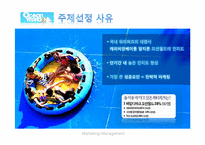 [경영학] 오션월드 마케팅전략 분석-2