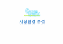 [경영학] 오션월드 마케팅전략 분석-3