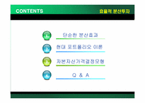 [투자론] 효율적 분산투자-2