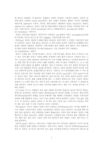 [아랍언어와 문화] 아랍 음악, 이론과 실제-7
